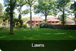 lawns-button.jpg