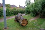 Before: The oak trunk is now in position and ready for carving.