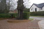 Sweeping sandstone path installed leading to front door, driveway perimeter edged with sandstone setts all hand pointed, Natural sandstone wall constructed with crease tile and 6mm Scottish beach gravel installed to 