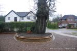 Natural stone brick walls with crease tile to finish