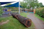 Before: The oak trunk is now in position and ready for carving.