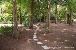 AFTER: Stepping sandstone path installed with lighting and irrigation to create a pleasant walk within the grounds