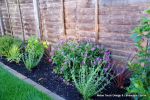 Garden planted out to provide all year colour and interest installed with maintenance plan