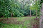 BEFORE: The grounds were overgrown with laurels, diseased trees and shrub it was very dark and gloomy  