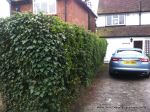 BEFORE: Driveway with old cracked concrete and mainly lawn with overgrown hedge