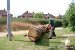 Before: The bark is carefully removed by our tree surgeon/carver