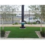 Artificial grass stays green all year round and easy to maintain  