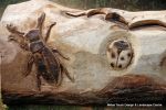 After: This mighty oak trunk is given a new lease of life with a beautifully carving of a woodland wildlife scene including butterflies, beetles oak leafs and acorns for the children of the nursery to enjoy for many generations to come. 